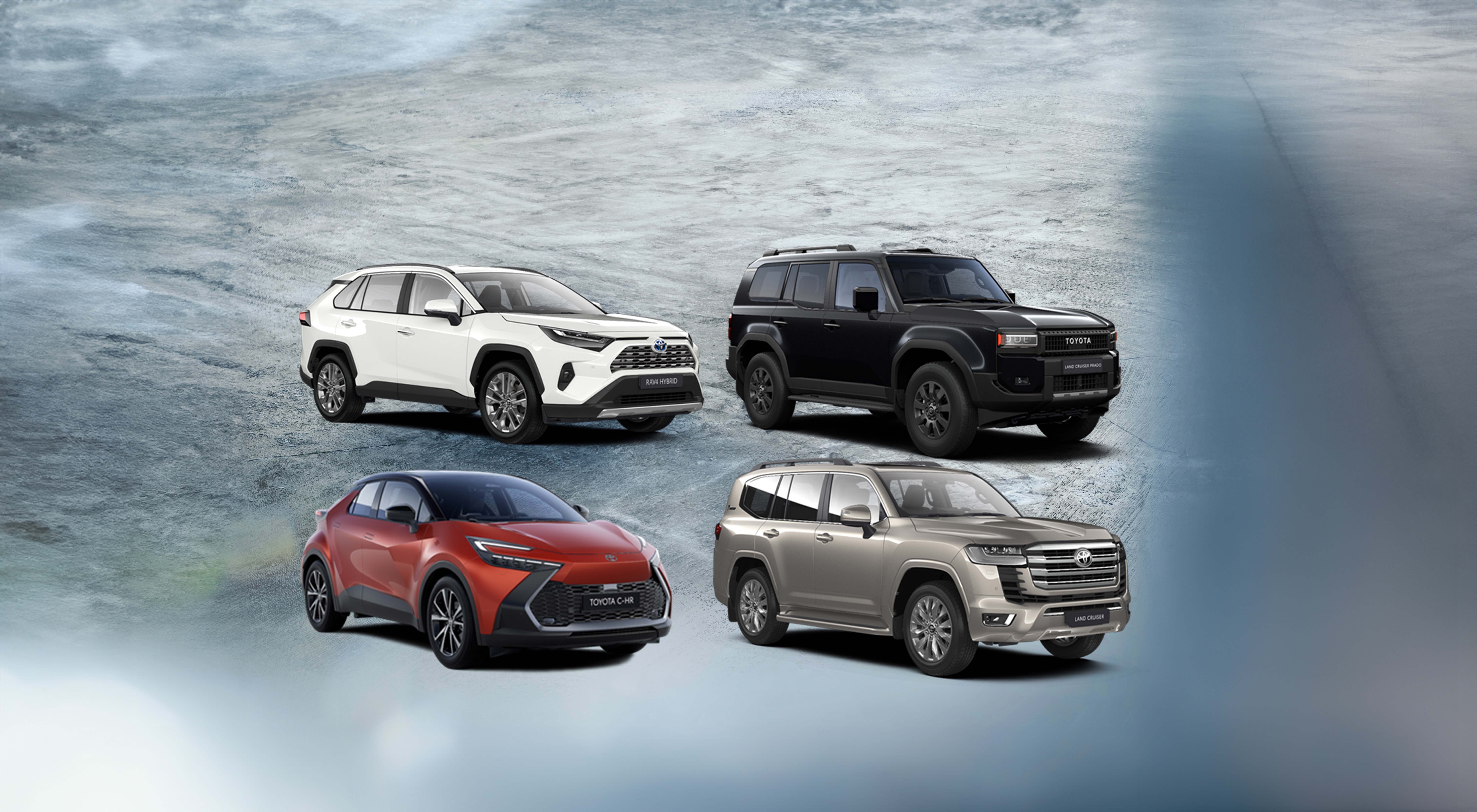 40528_sajt_kopia78_kopia